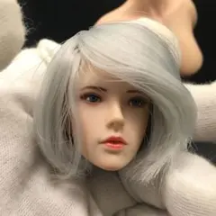 C1 1/6 フィギュア ヘッド 女性ヘッド 植毛タイプ 12インチドール