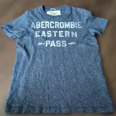 Abercrombie & Fitch ネイビー Tシャツ S