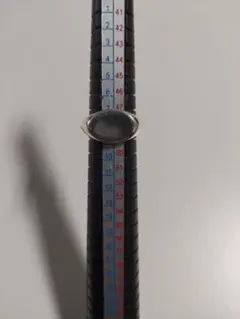 Item thumbnail for item d85cceb1-da1d-415c-b601-8e33063571df