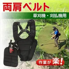 Item thumbnail for item 37283e44-5b7e-4890-b10f-05919932efa2