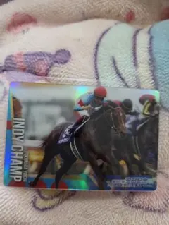 2025年最新】インディチャンプの人気アイテム - メルカリ