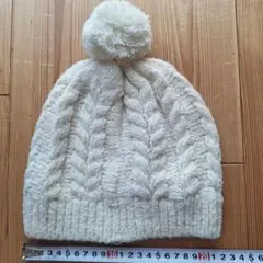 Item thumbnail for item 4e6856a7-0017-4705-b37d-b2c681de573e