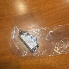 モンスターズインクめじるしアクセサリー ブーのドア（新品）