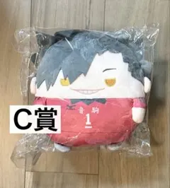ハイキュー!! くじメイト ぬいくじ2 D賞 ふわコロリン E賞 黒尾鉄朗