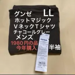 新品　GUNZE グンゼ　ホットマジック　Vネック　Tシャツ LL 1枚　半袖