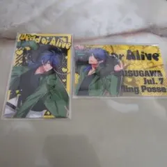 ヒプマイ カード 有栖川帝統