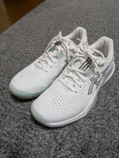 アシックス テニスシューズ　オムニークレー　25.5cm