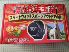 新品未開封】ヨドバシ カメラ 2026年夢のお年玉箱 ポータブル電源の夢