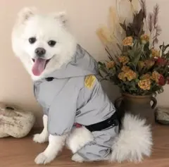 Item thumbnail for item 961d9807-4307-4e3d-9539-5d7241680fa3