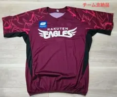 楽天イーグルス　パーカー　ミズノ 2026モデル】ミズノ 野球 ジュニア用 フリースフーディー 厚手