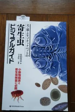 ビジュアルと動画でわかる!犬と猫の腹部超音波の描出レッスン Makiさん