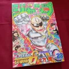 超美品 当時物【週刊少年ジャンプ1991年21·22号】ドラゴンボール _