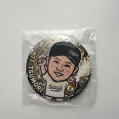 福岡ソフトバンクホークス　若鷹ガチャ パリーグ優勝ver vo.2 津森投手