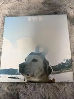 RADWIMPS レコード盤のサムネイル