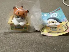 ダンボールウォッチ　カクレクマノミにゃん