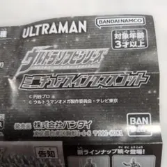 しょ様 リクエスト 2点 まとめ商品