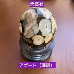 スズメのアトリエ 鬼姫鉢 検）作家鉢 アガベ 塊根 - メルカリ