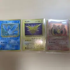 防湿庫保管】旧裏 3鳥セット（化石の秘密）☆うずまきサンダー入り