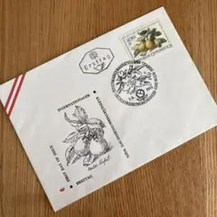 メアリー （必ずプロフィール確認下さい）様 リクエスト 3点 まとめ商品