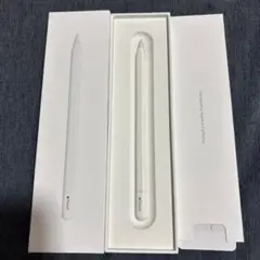ほぼ未使用　保証付き　Apple Pencil (USB-C) アップルペンシル