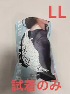 Item thumbnail for item 0ff83532-a76b-40c4-8c83-a48c392f24f8