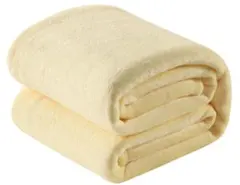 SE 毛布 ダブル ブランケット 夏用 大判 大きめ ふわふわ 暖かい 軽量