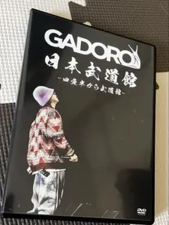 GADORO宮崎県限定ノベルティDVD 61eveTkzWSL.jpg