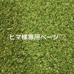 ヒマ様専用　羊毛フェルト　オカメインコアルビノブローチ　鳥オーダー　ハンドメイド