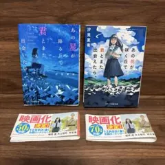 あの星が降る丘で君とまた出会いたい。 あの花が咲く丘でまた君と出会えたら。