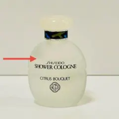 2025年最新】資生堂 シャワーコロンの人気アイテム - メルカリ
