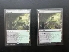 MTG 草むした墓/Overgrown Tomb 日 2枚