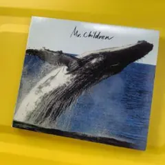 Mr.Children　365日　結婚式　ウェディング