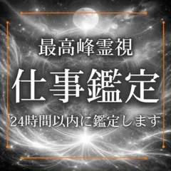 【1日1名さまのみ】　仕事・霊視・転職・天職・人間関係・仕事運・職場・占い