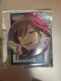 逆先夏目 缶バッジ 2025 Jun idol side あんスタ グッズ
