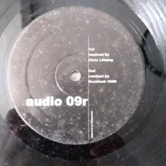 Item thumbnail for item 5aae235c-dd33-4702-83ac-b4a3595b476a