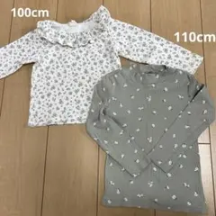 Item thumbnail for item 2ccea5d7-6d86-490f-97b5-f96540a848bd