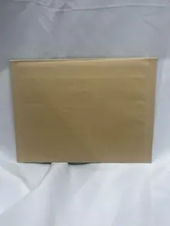 Item thumbnail for item 87056c56-8e9d-4132-b519-f432c4afdd37