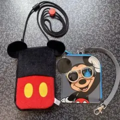 ディズニーリゾート　パスケース　バケーションパッケージ