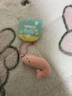 つぶらな瞳の水族館 ぷちマスコットBC その2 えび