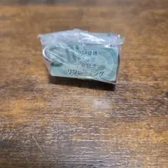 【JRA アイドルホースミニコレクションVoL.41☆GⅢ☆リフレーミング☆】