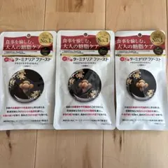 【新品・未開封】ターミナリアファースト PROFESSIONAL 90回分 ターミナリアファースト プロフェッショナル 120粒入り ダイエット
