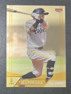 Item thumbnail for item c0df99e3-9e3f-4543-981a-0d208eacbf06