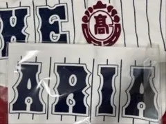 有明高校 野球部 応援タオル