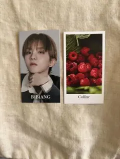 BOYNEXTDOOR BiBiANG ビビアントレレカ ウナク