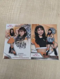 Item thumbnail for item f6639843-cbf0-4141-985e-4c79fdadc9c3