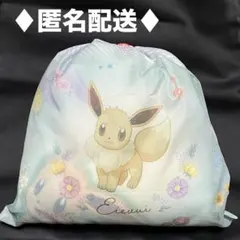 【新品】イーブイフレンズ プラチナムザッカ巾着付ブランケット Ver.1.5