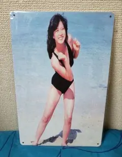 【新品未開封】中森明菜 ブリキ看板 グラビア レア セクシー 水着 レトロ