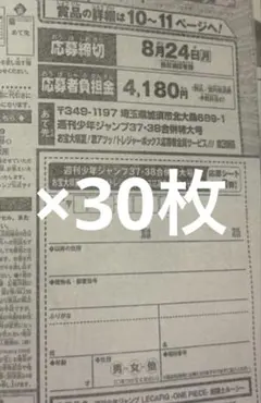 週刊少年ジャンプ 新年4・5合併特大号 応募シート 18枚 - メルカリ