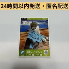 ロゲットカード エンタメカード