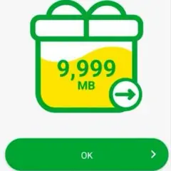 9999MB mineo(マイネオ) パケットギフト